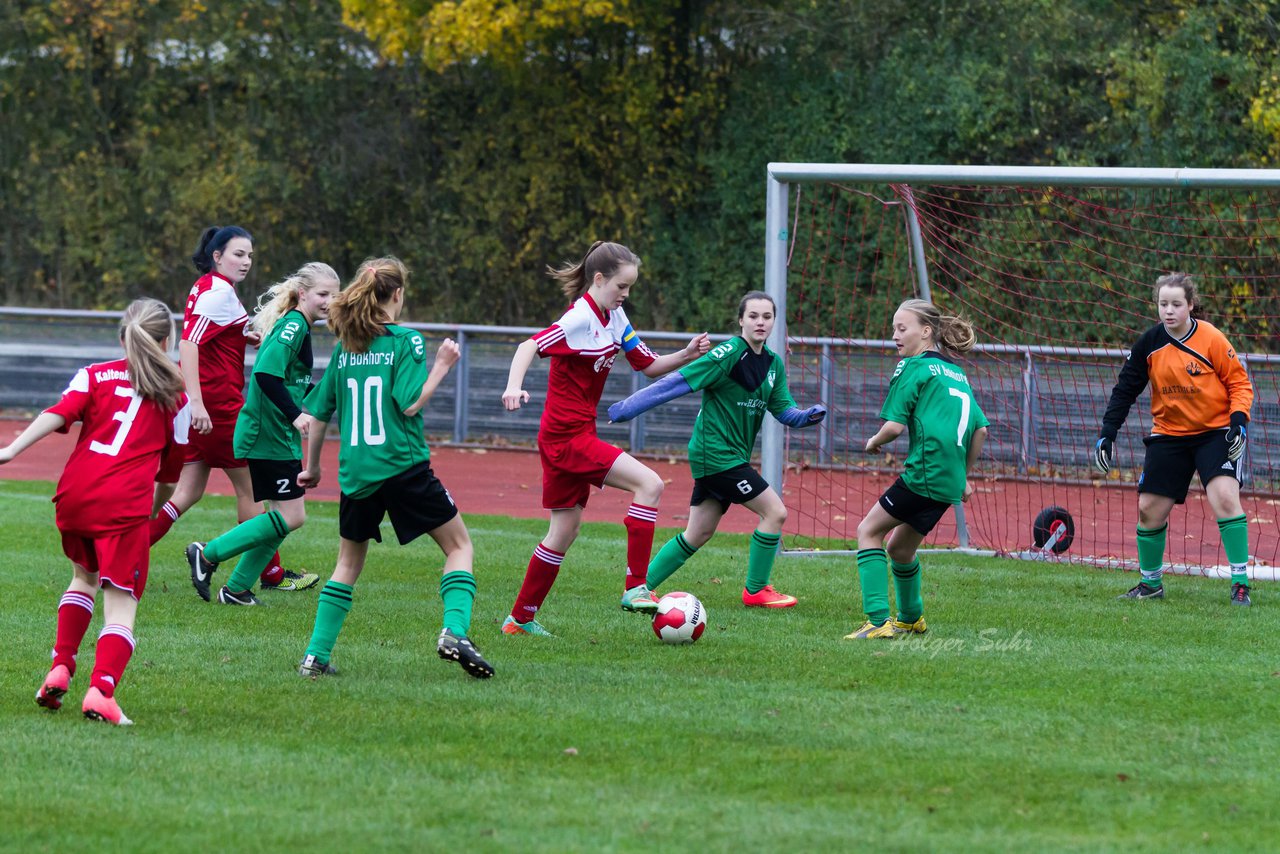 Bild 78 - C-Juniorinnen Kaltenkirchener TS - SV Bokhorst : Ergebnis: 1:2